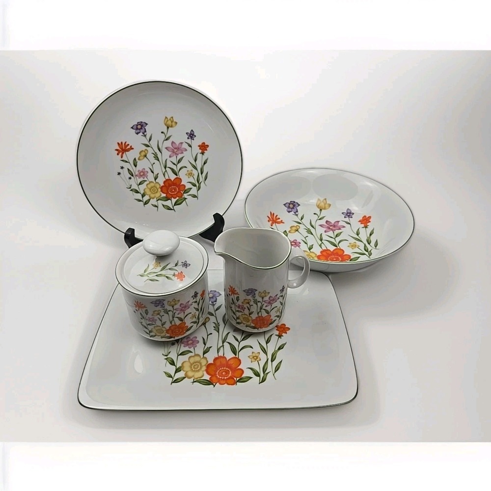 Vintage Dolphin‎ Fine China Japan Tivoli Wildflower Dinnerware Set - 5 Piece